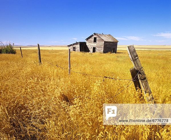 Old Farmhouse  near Ponteix  Saskatchewan