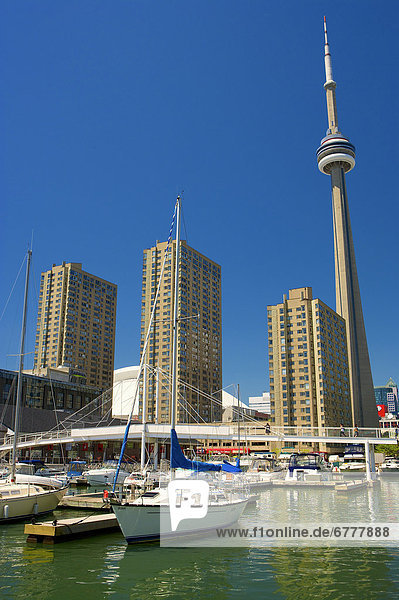 View of moored boats  hotel  condos and CN Tower at waterfront  Toronto  Ontario