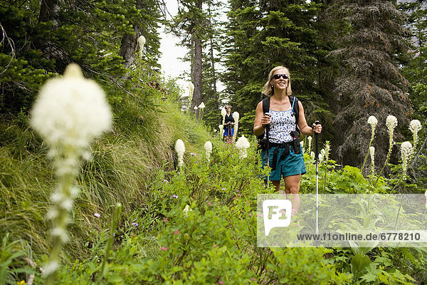 USA  Montana  Glacier National Park  Two mid adult women hiking