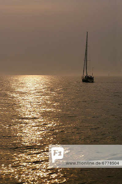 Wasser  Sonnenuntergang  Tretboot  Ontario  Toronto