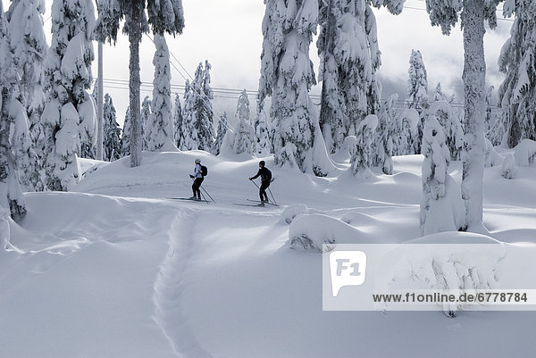 People Skiing on Hollyburn Mountain  Vancouver  British Columbia