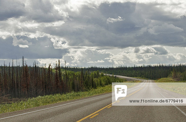 Wolke  Baum  vorwärts  Autobahn  Northwest Territories