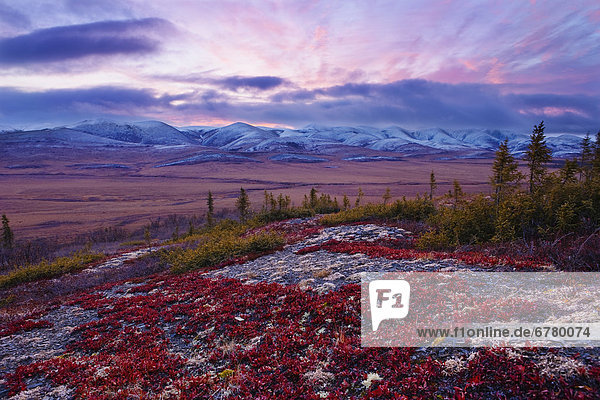 Farbaufnahme  Farbe  Berg  Morgendämmerung  Bundesstraße  vorwärts  Arktis  Yukon