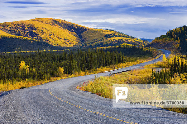 nahe  Farbaufnahme  Farbe  Bach  Bundesstraße  Alaska  Biber  Yukon