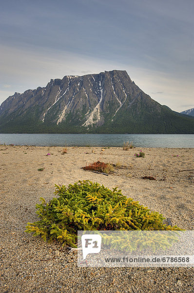 Kusawa Lake Territorial Park  Yukon