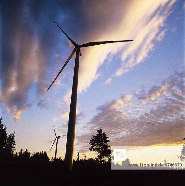 Windturbine Windrad Windräder Wolke Sonnenuntergang Quebec
