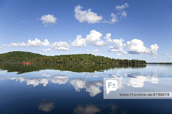 Senior couple canoeing on Smoke Lake  Algonquin Park  Ontario