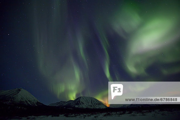 Aurora borealis (northern lights) in the Yukon  Canada