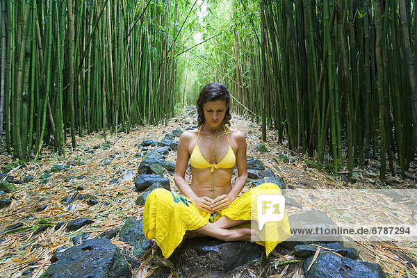Hawaii  Maui  Kipahulu  Woman meditating in bamboo forest.