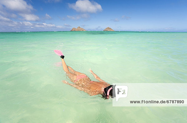 Wasser  Frau  Ozean  schnorcheln  türkis  Hawaii  Oahu