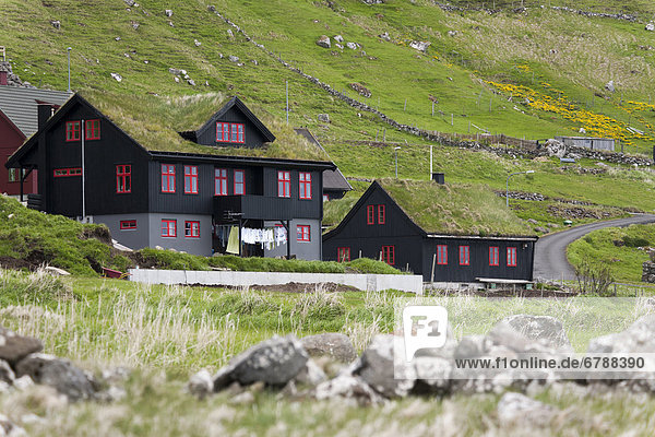 Dach Europa Wohnhaus Dänemark Holz Gras Färöer-Inseln Nordeuropa