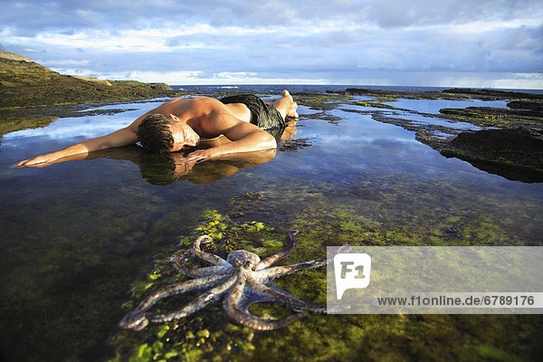 Oahu  Hawaii Tag Octopus (Octopus Cyanea) sitzen im flachen Wasser männliche Muster in den Hintergrund.