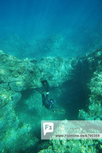 Hawaii  Maui  Makena  Spearfisher diving into hole in reef.