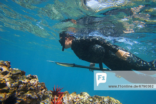 Hawaii  Maui  Makena  Spearfisher over reef  View from side.