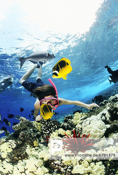 Hawaii  Maui  Molokini  Snorkeling child exploring coral reef with tropical fish and sea urchin.