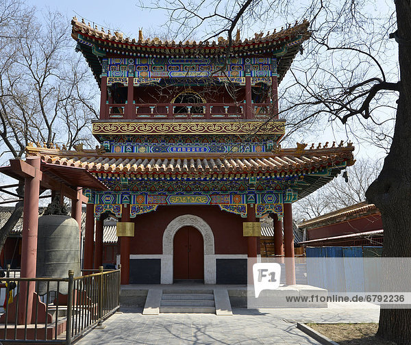 Buddhistischer Lamatempel in der Hauptstadt Peking  China  Asien