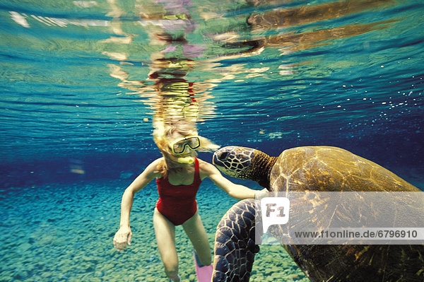Wasserschildkröte Schildkröte Frau grün Unterwasseraufnahme schnorcheln