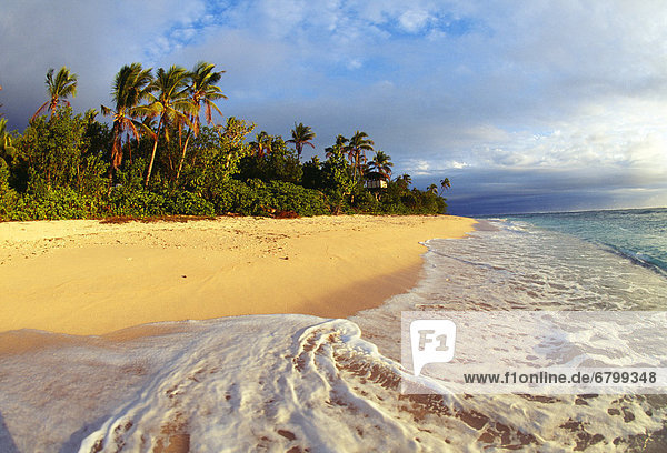 Palme Bewölkung bewölkt bedeckt Fiji