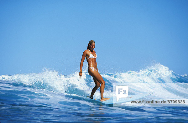 Europäer  Frau  Bikini  weiß  jung  Hawaii  Wellenreiten  surfen  Wasserwelle  Welle