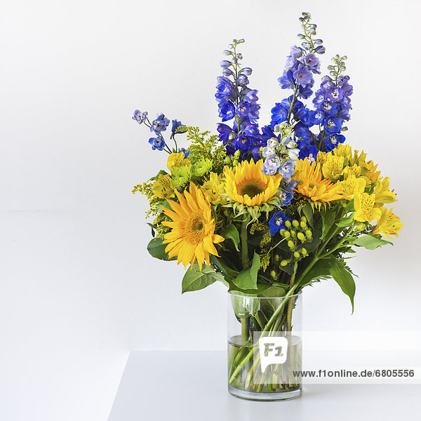 Farbaufnahme  Farbe  Blume  Bündel  Blumenvase