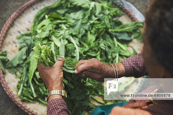 Woman Holding Vegetables  Pokhara  Nepal