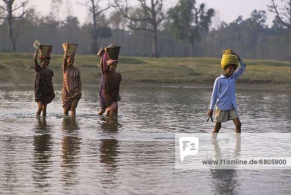 Carrying Loads Across A River  Sauhara  Chitwan  Nepal