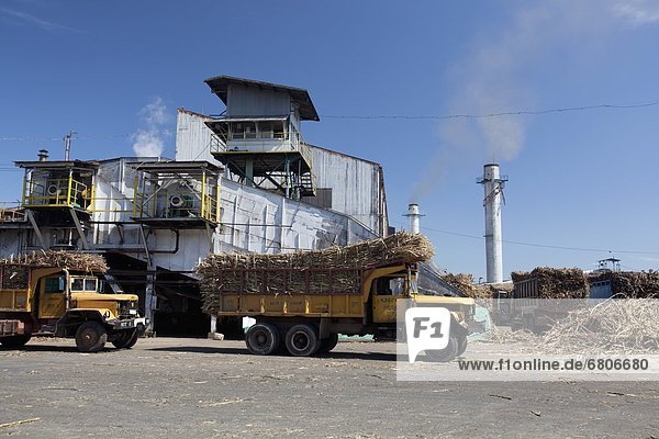 Spazierstock  Stock  Mühle  beladen  Lastkraftwagen  Zucker  Philippinen  bringen  roh
