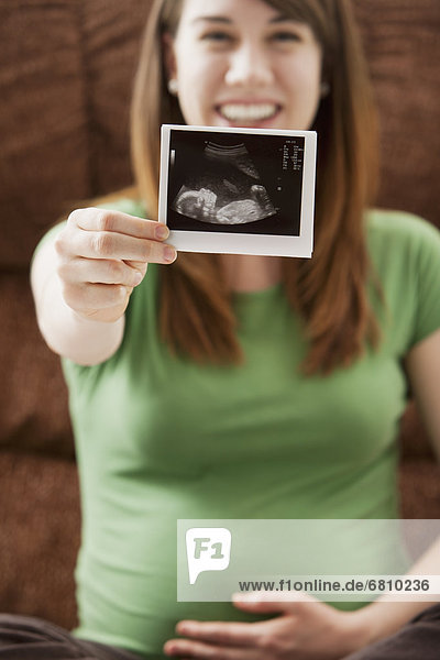 zeigen  Portrait  Frau  Schwangerschaft  scan