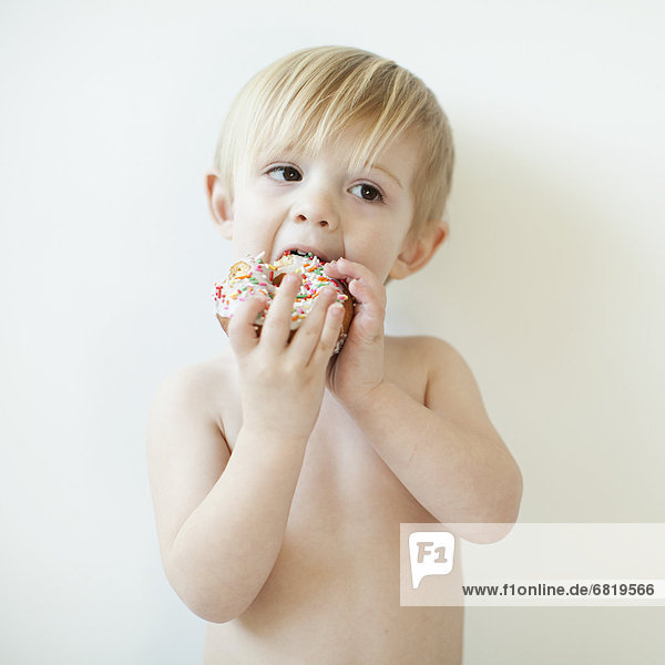 Studio portrait of cute toddler boy (2-3) eating doughnut