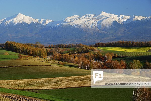 Farm and mountain range  Hokkaido Prefecture  Japan