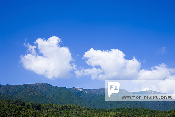 Forest and mountain range  Hira-san  Otsu  Shiga Prefecture  Japan