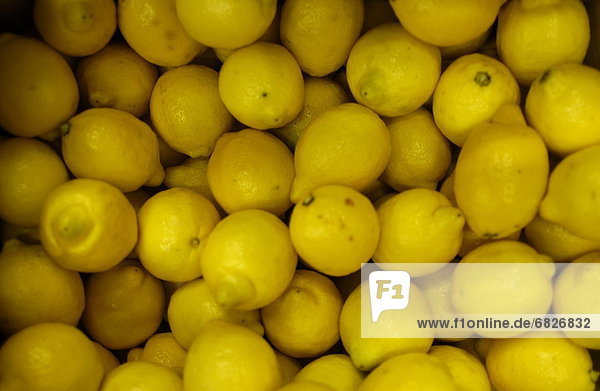 Zitrusfrucht  Zitrone  voll