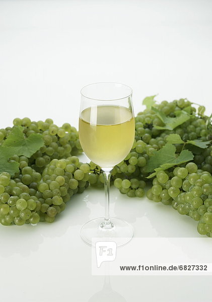 Glas  Wein  grün  weiß  Weintraube