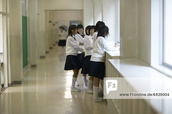 Korridor  Korridore  Flur  Flure  sehen  Fenster  Schule  blättern  Mädchen