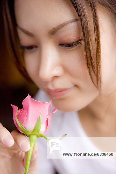 Young woman holding pink rose  close up