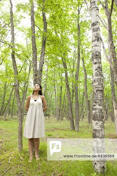 Woman in dress in a forest  Tochigi Prefecture  Honshu  Japan