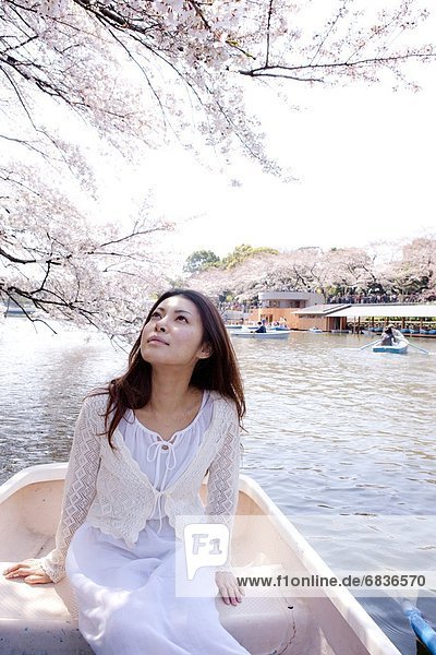 Woman on boat looking up at cherry blossoms  Tokyo Prefecture  Honshu  Japan