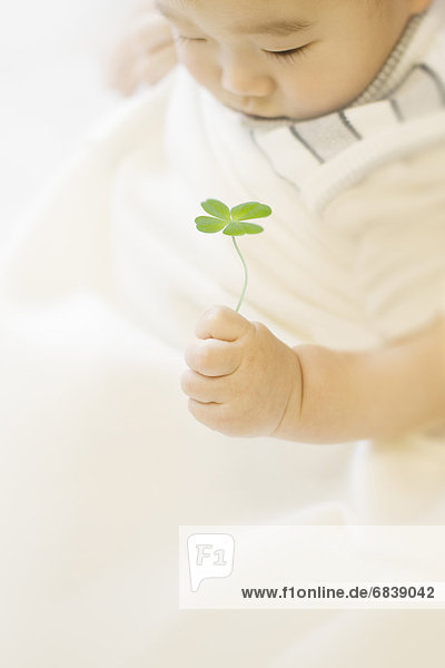 Baby holding four leaf clover