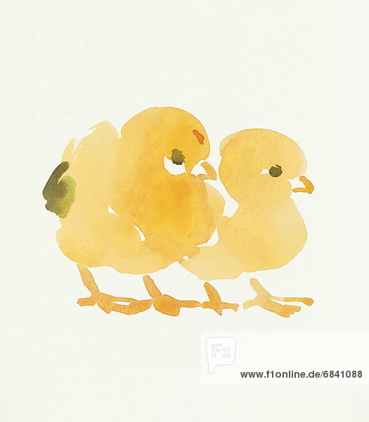 Two Chicks  Water Color Painting