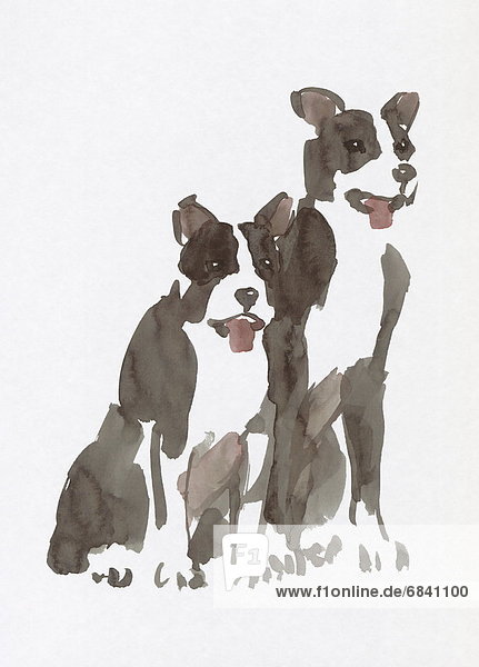 Two Boston Terrier  Water Color Painting