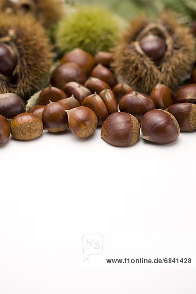 Chestnuts  white background  copy space