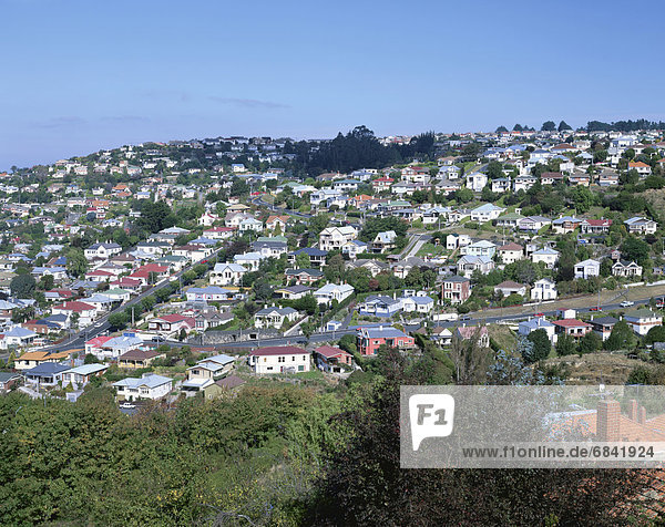 Houses on a hill  Dunedin  South Island  New Zealand