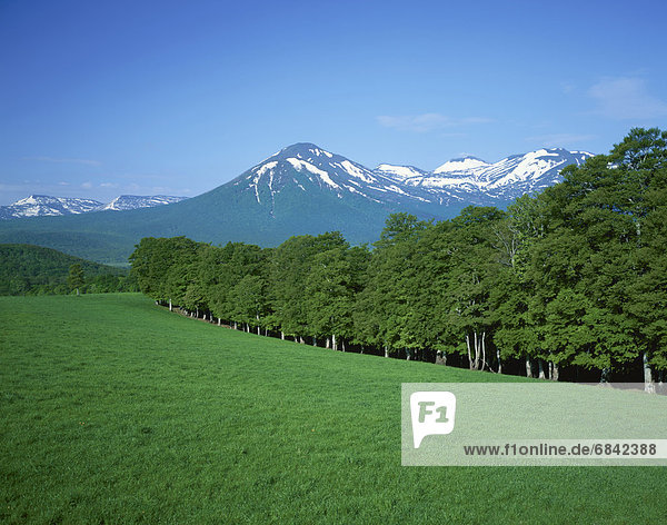 Hakkoda mountains  Aomori Prefecture  Honshu  Japan