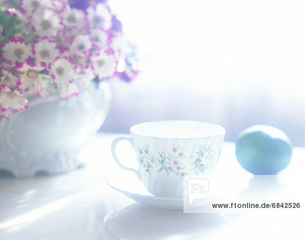 A tea cup  a lime and cineraria flowers