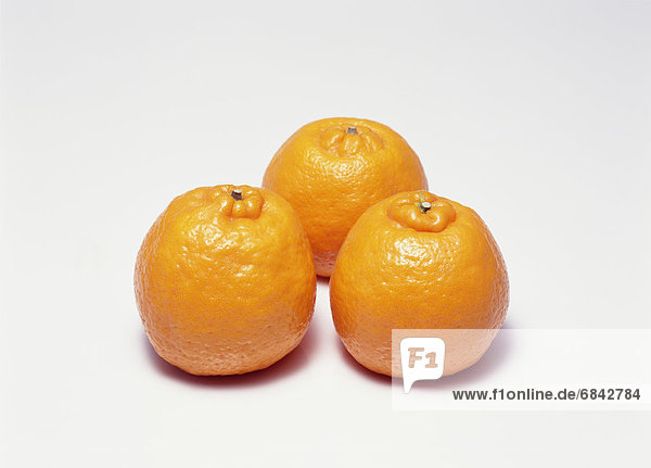 Orange  Orangen  Apfelsine  Apfelsinen  3
