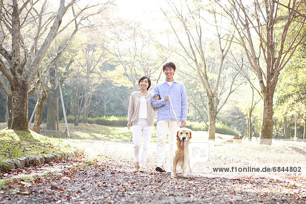 Young Couple and a Domestic Dog Talking A Walk in Park