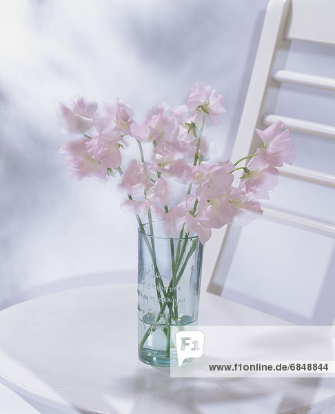 A small vase of flowers on a chair