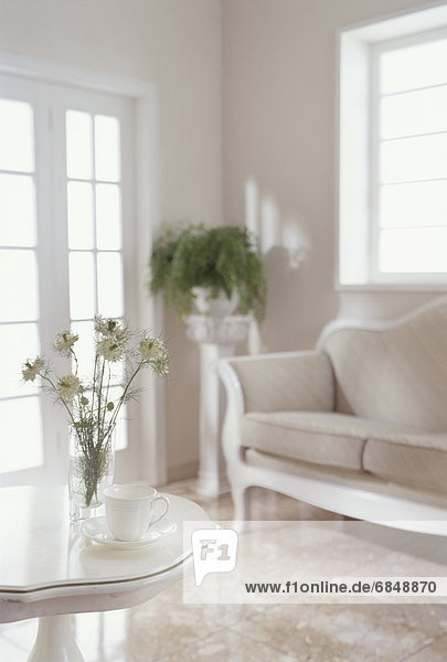 White room with sofa and plants