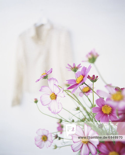 Some wildflowers in front of a woman's blouse hanging on a wall