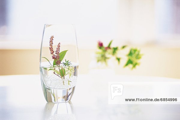 A Tiny Bouquet of Flowers in a Glass of Water